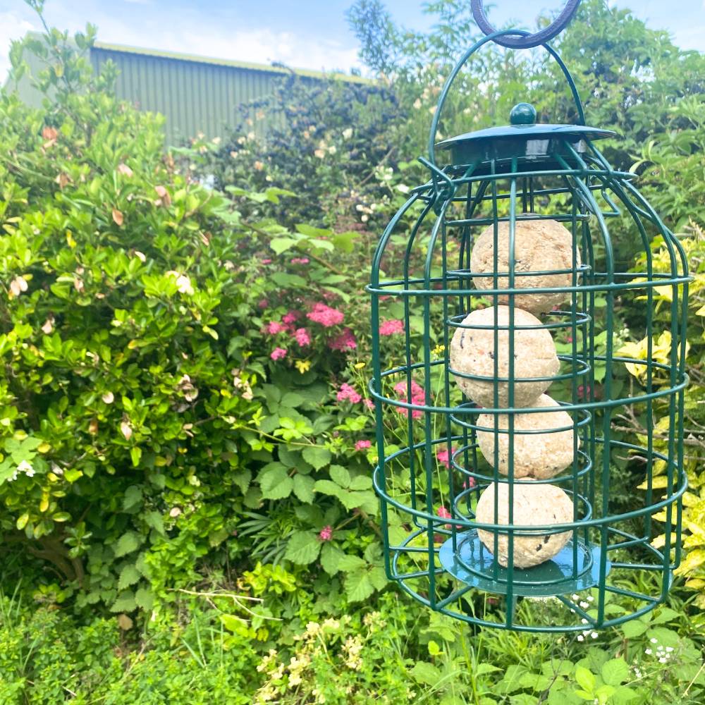 Squirrel Proof Fat Ball Feeder and 20 Fat Balls